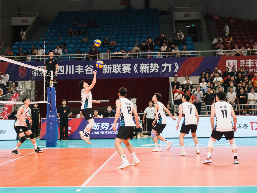 例如排名第 例如排名第