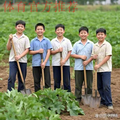 离收成很远的幼儿足球 仍在耕种 离收成很远的幼儿足球 仍在耕种